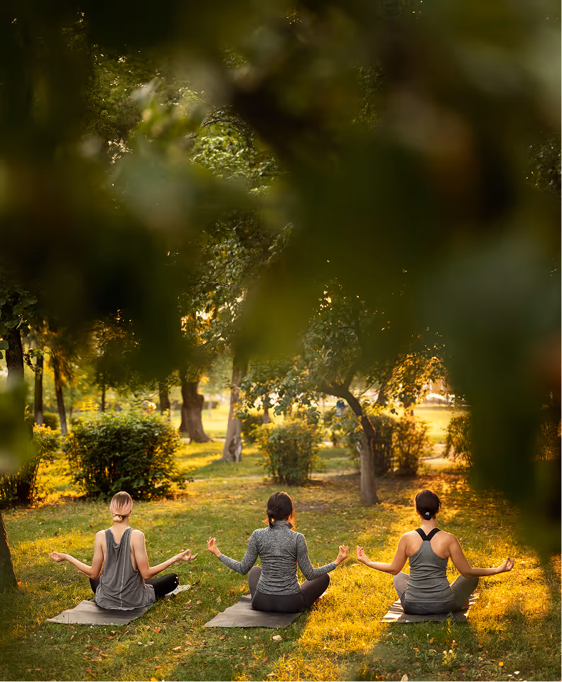 Three women practicing yoga seated on mats in a sunlit park surrounded by trees and greenery.
