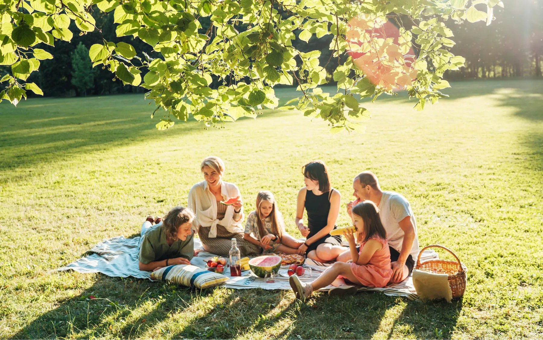 Overhead view of a person riding a bicycle on a sunlit park path lined with trees casting long shadows and a bench.