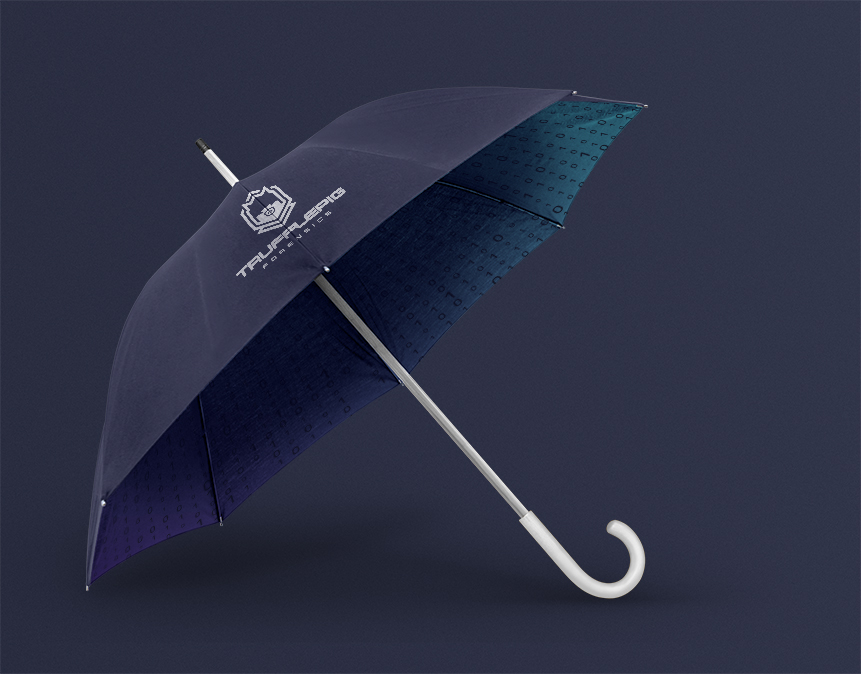 Featured Project of Schraeger