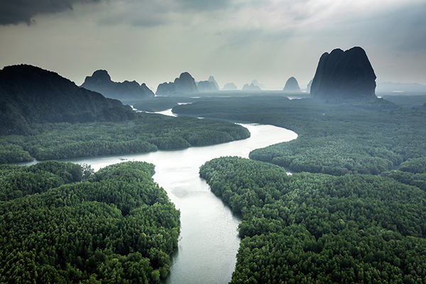 Vue aérienne d'une rivière sinueuse traversant une forêt dense avec des montagnes brumeuses au loin.