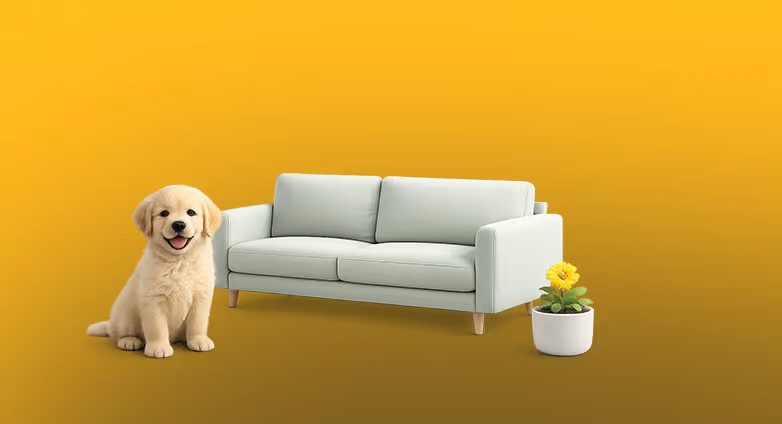 Smiling golden retriever puppy sitting next to a light gray sofa and a yellow flowering plant in a white pot on a yellow gradient background.
