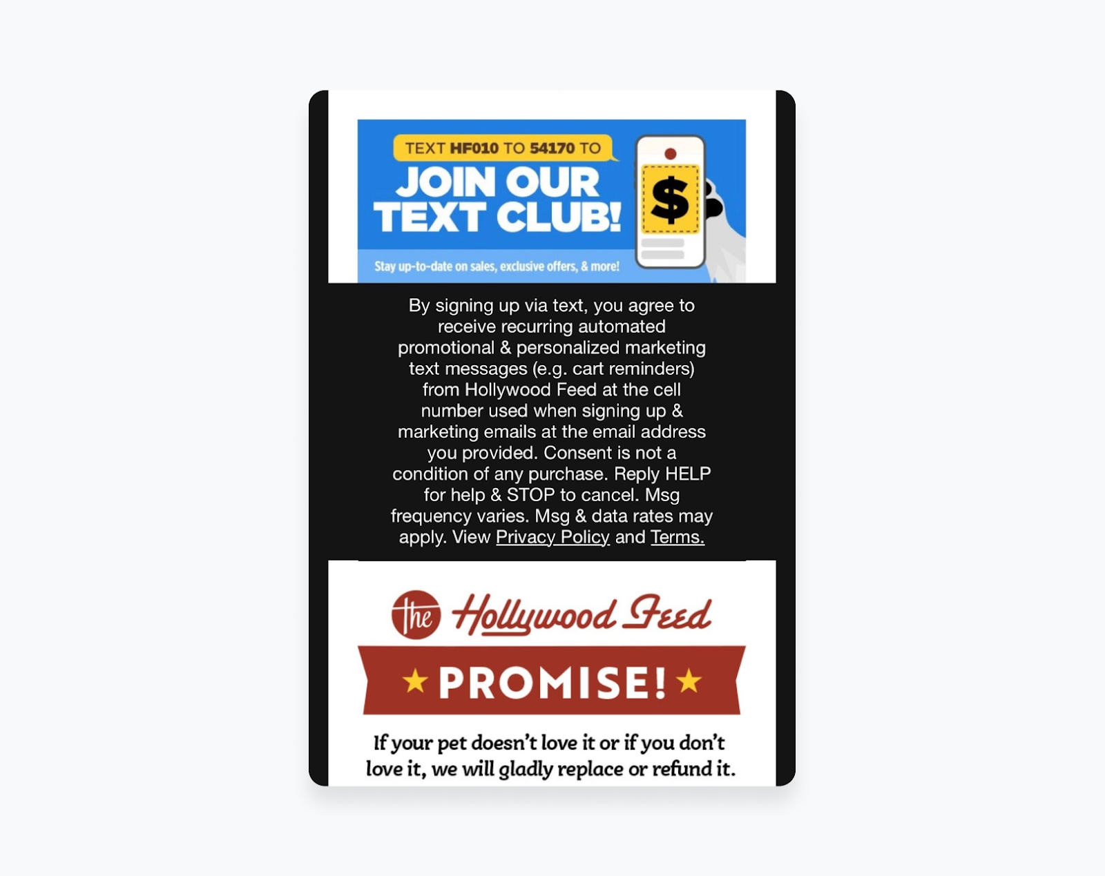 An email asking subscribers to opt-in to a business’ texting service.
