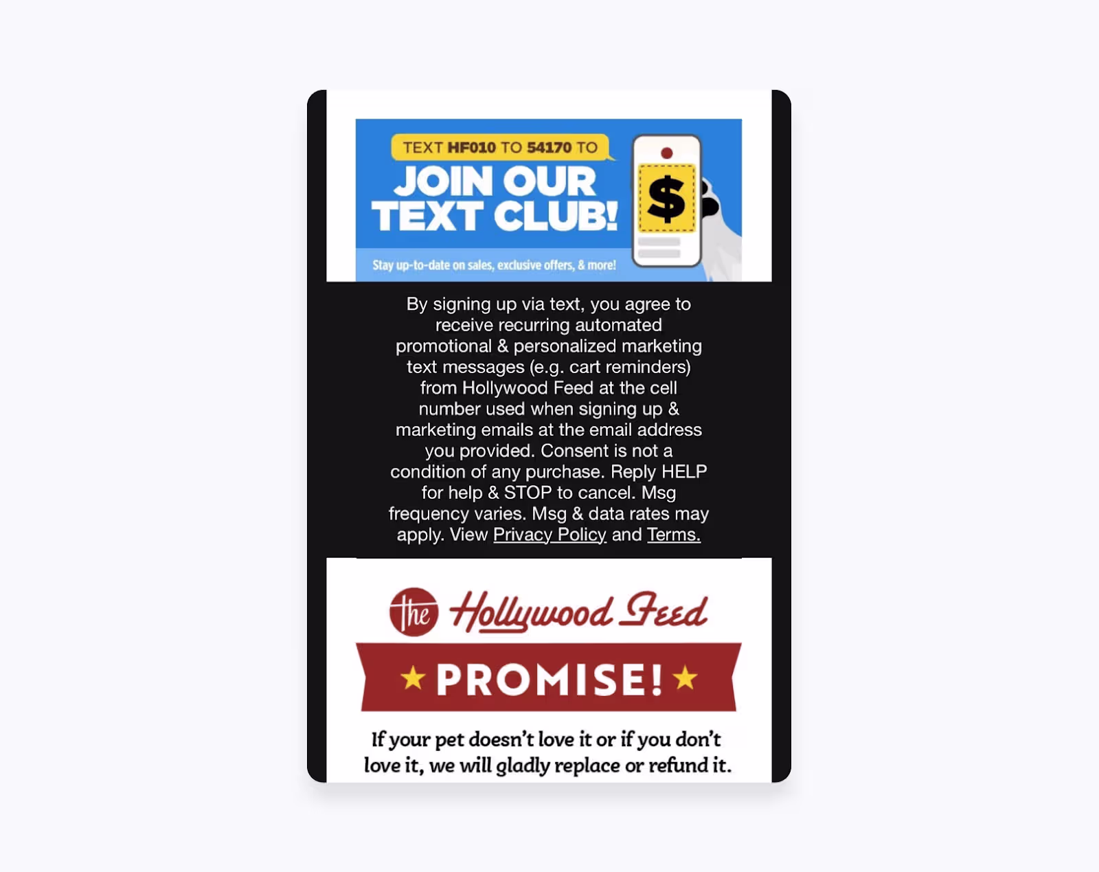 An email asking subscribers to opt-in to a business’ texting service.