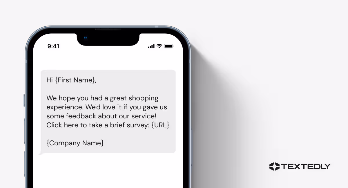 Sample customer feedback text.