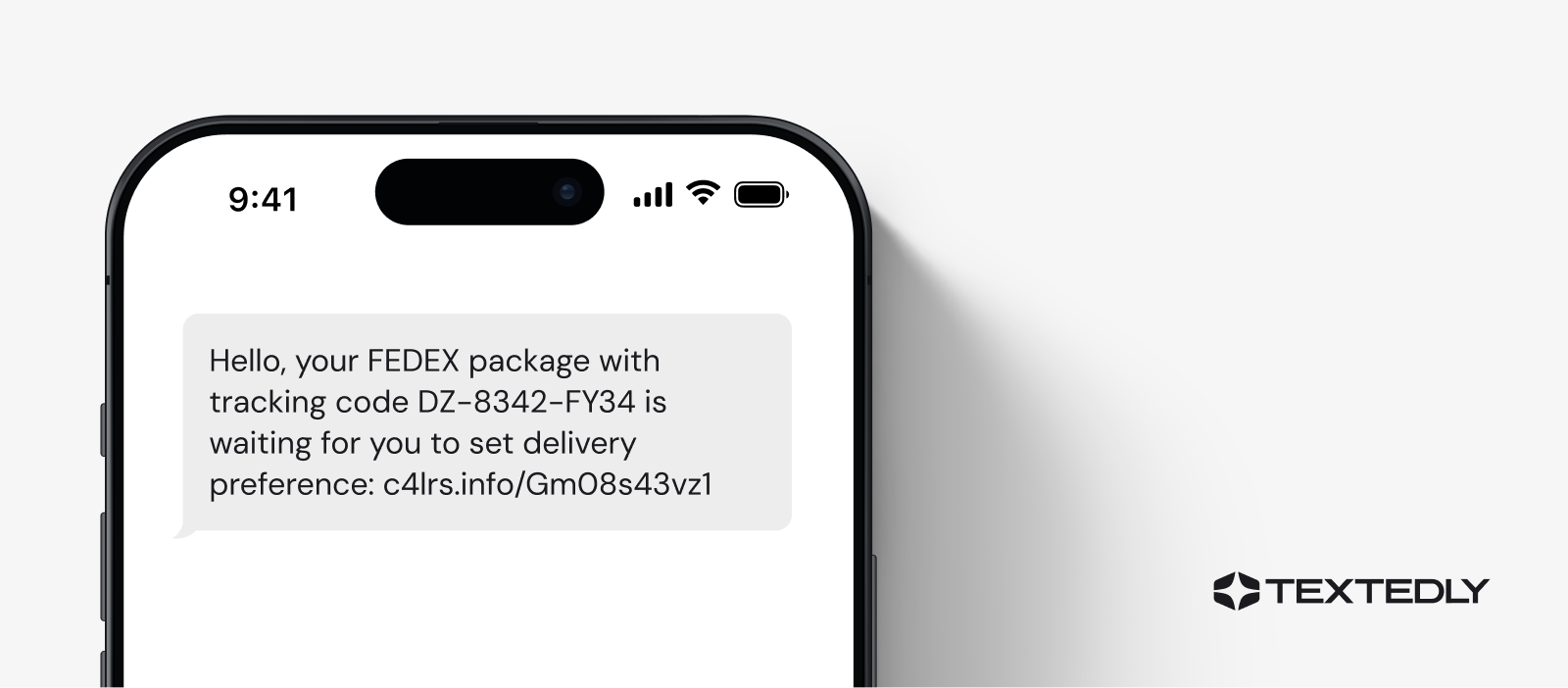 Spam text message example: You have a package delivery.