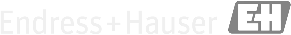 Endress+Hauser Logo – Industriekunde von M+R