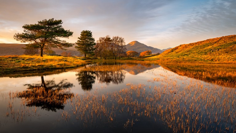 Sunset over a calm lake reflecting trees, grassy hills, and a mountain in the background.