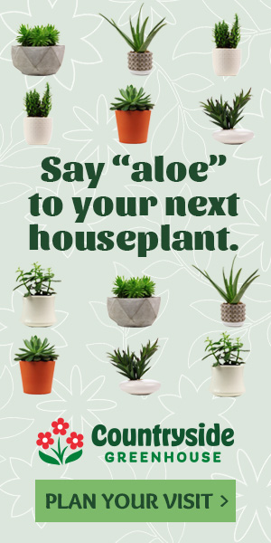300x600 Wide Skyscraper for Countryside Greenhouse featuring Houseplants