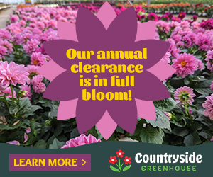 300x250 Wide Rectangle for Countryside Greenhouse for Annuals Clearance