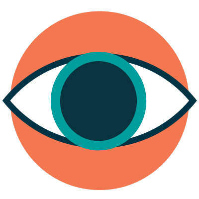 A large closeup of an eye