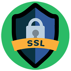 An illustration of a shield with a lock and "SSL" on it