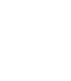 Security shield icon