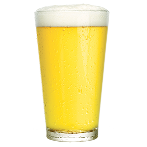 ALPINE NELSON IPA