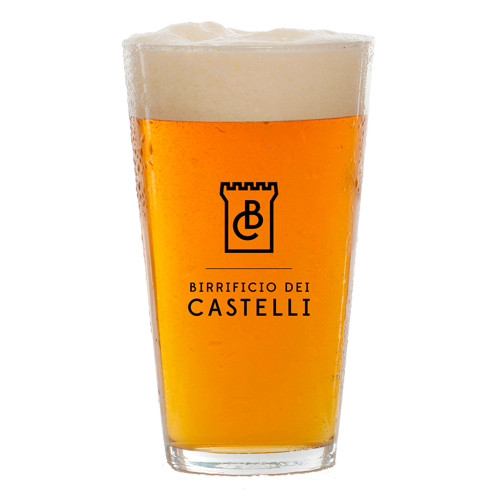 BIRRIFICIO DEI CASTELLI BREVIS FUROR