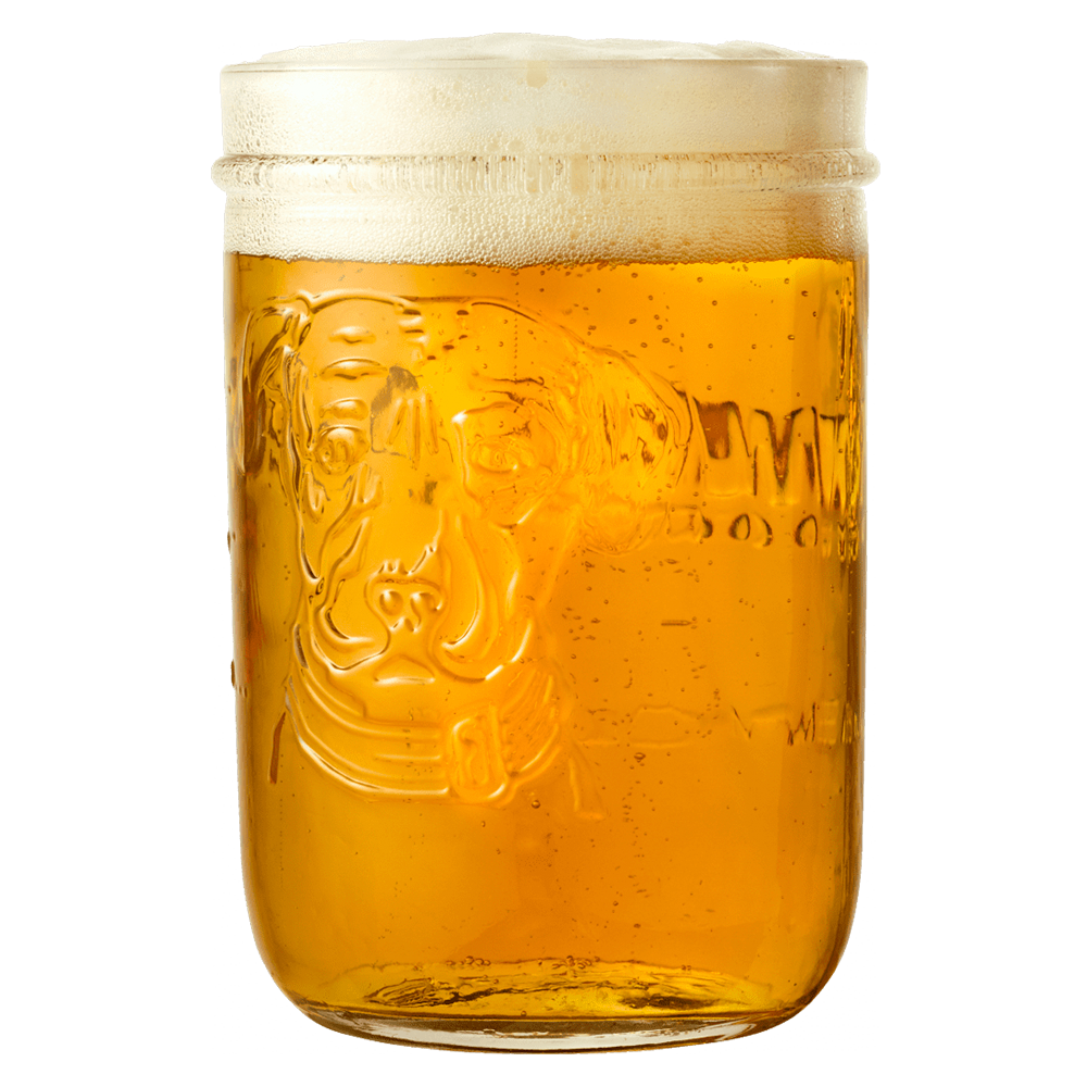 LAGUNITAS IPA