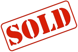 cornish rex kittens for sale