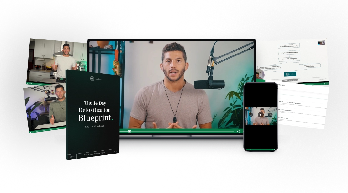 Digital course materials for 'The 14 Day Detoxification Blueprint' including a workbook, video lessons on a laptop and smartphone, and supplemental documents.