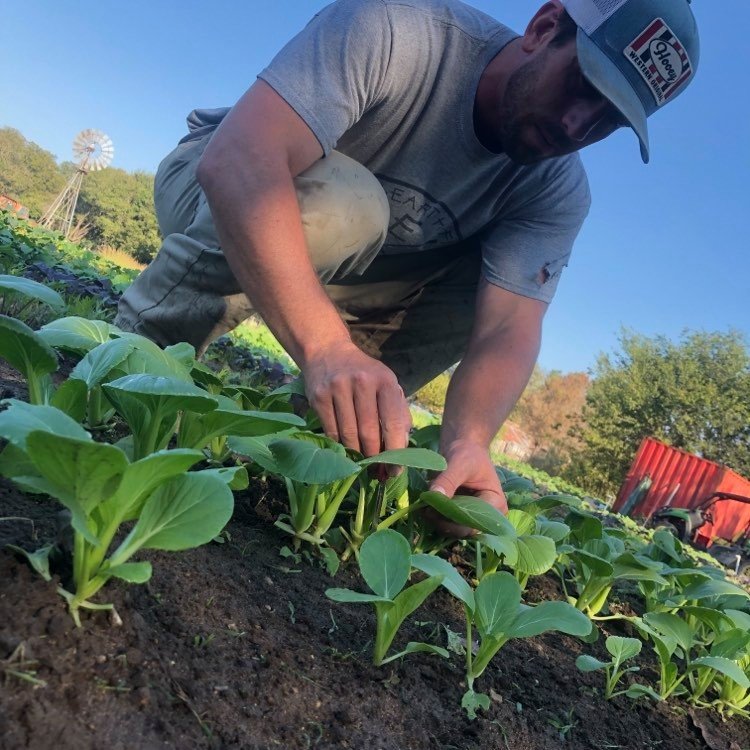  Larry Goodson, Farmer + Owner of  First Earth Farm  provides organically grown produce to The R+R Farm Co-Op. 