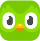 Duolingo logo