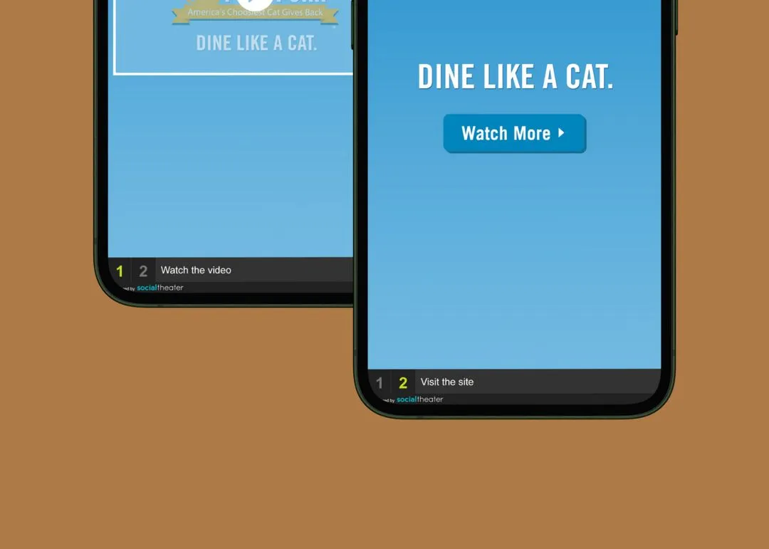 Advertising portfolio piece of 9 Lives advertisement by TheThumbpint