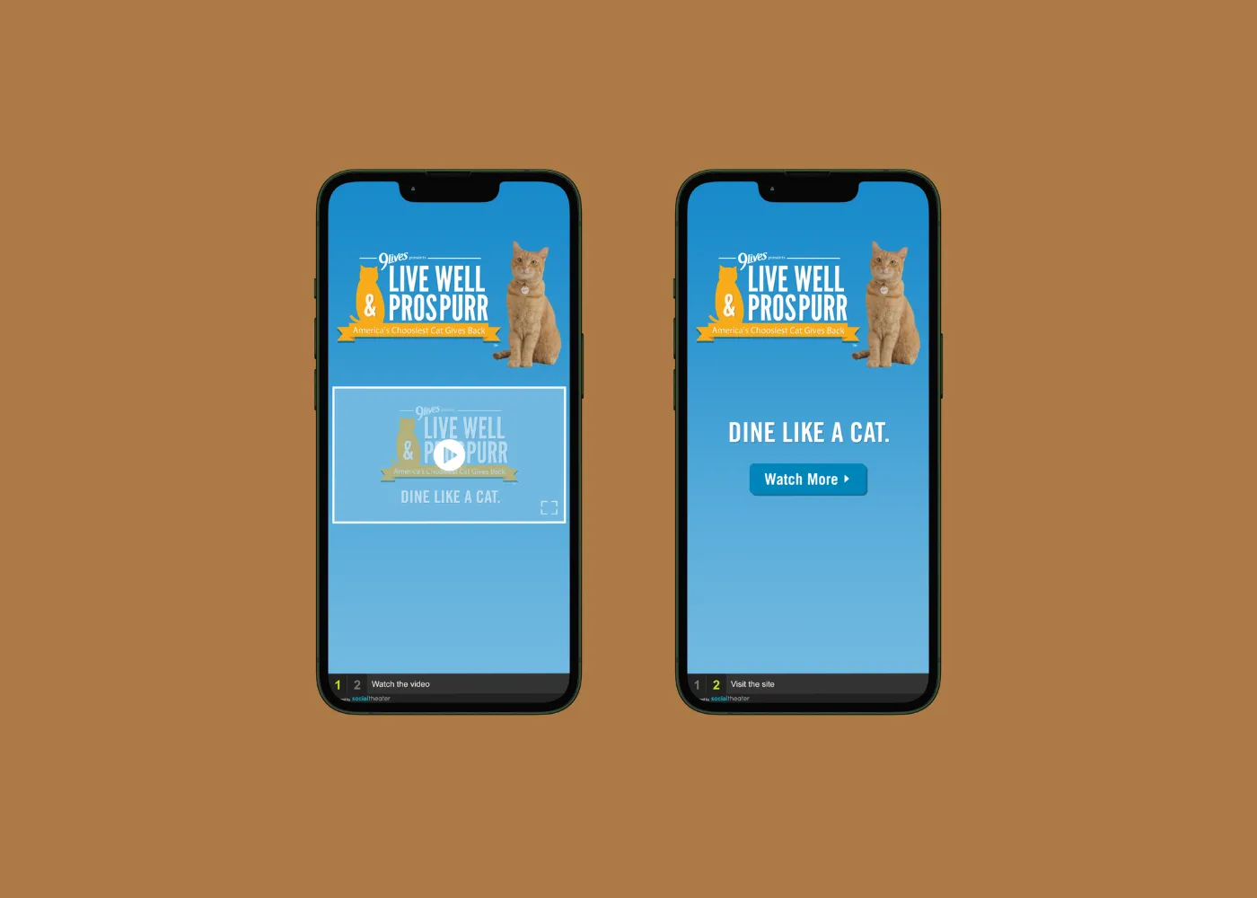 Advertising portfolio piece of 9 Lives advertisement by TheThumbpint