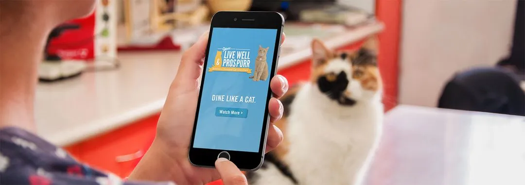 Advertising portfolio piece of 9 Lives advertisement by TheThumbpint