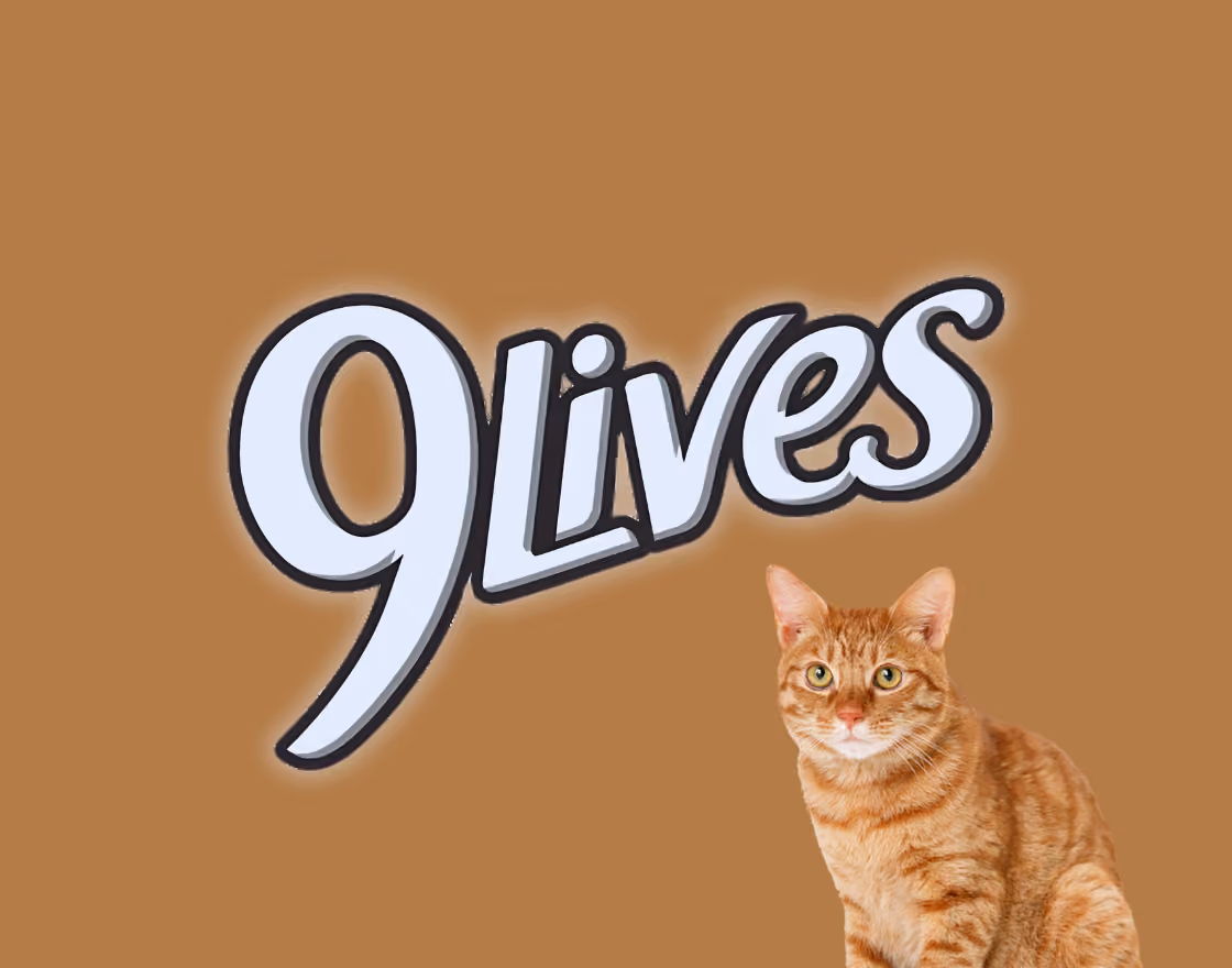 Case study for 9 Lives' advertising design
