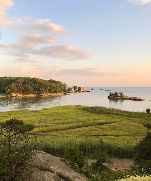 Coastal landscape with green marshland in foreground, wooded island, rocky islets, and calm sea under a partly cloudy sky at sunset.