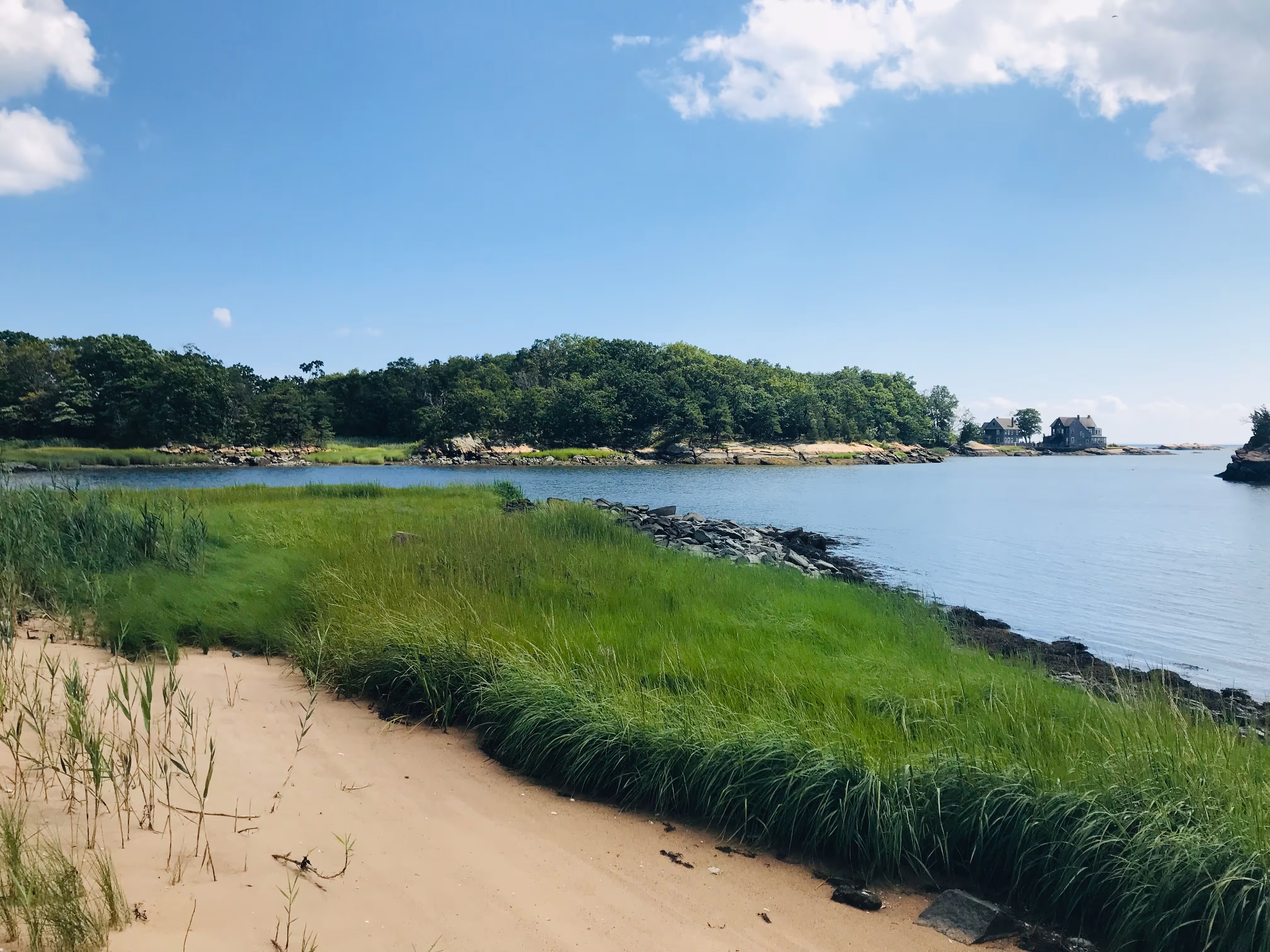 Sandy beach area with green grass by calm water, trees in the background, and two houses on a distant shore.
