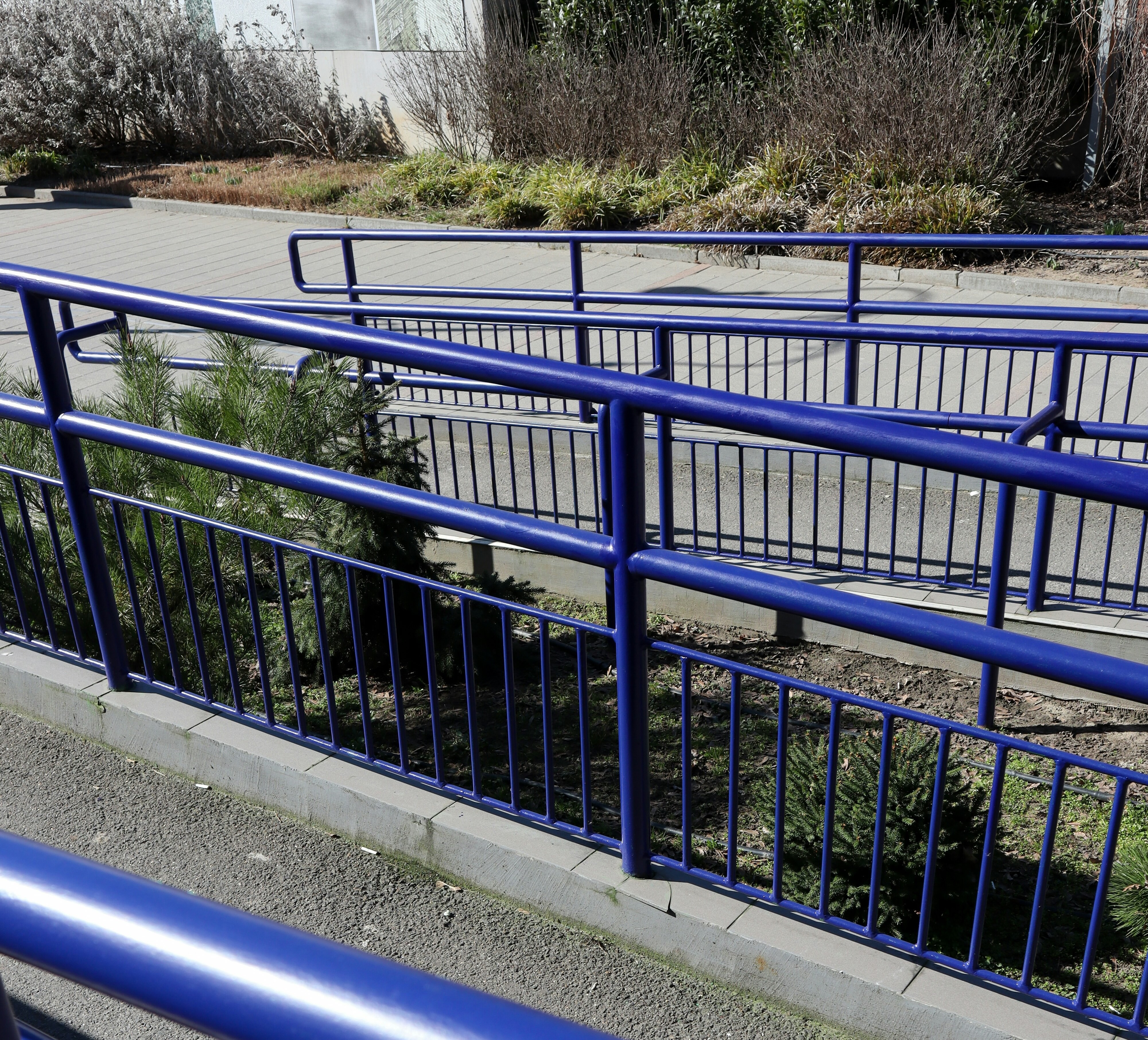 Blue metal railings surrounding a paved wheelchair ramp with bushes in the background.