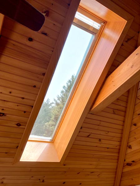 Wood-paneled ceiling with a rectangular skylight showing an outside tree against a blue sky.