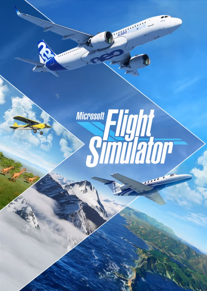 Flight Simulator