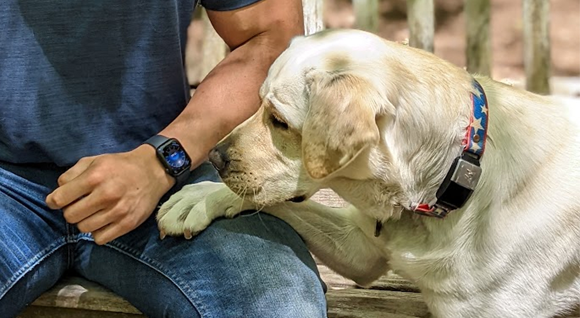 Classical Conditioning - Learning Theory With Pavlov’s Dogs