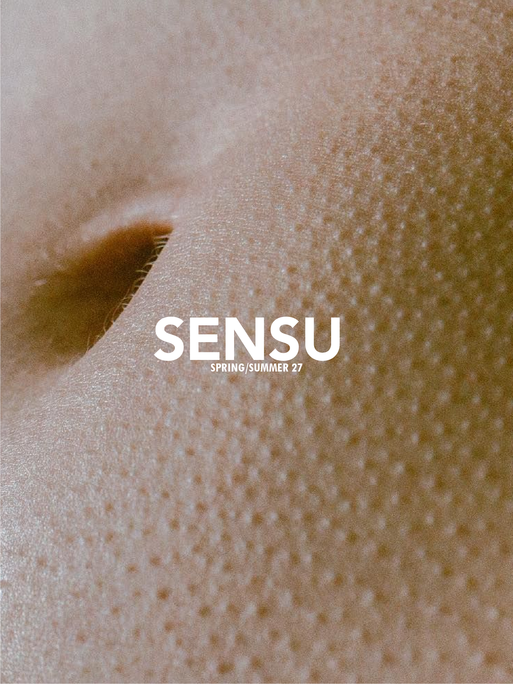 Sensu Presentation Slide 1