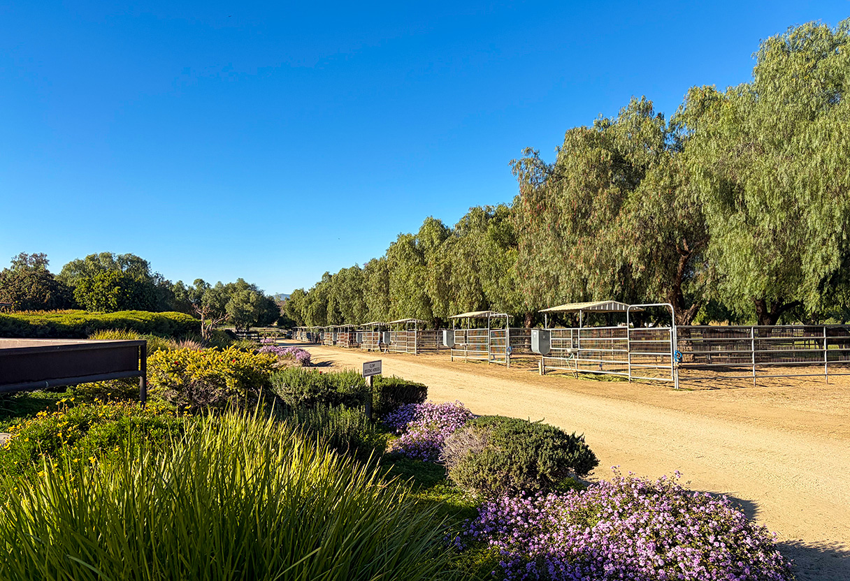 Facilities at Peacefield Farm