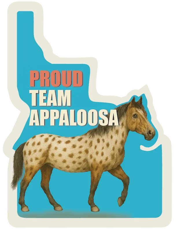 Spotted Appaloosa horse standing in front of a blue background with the text Proud Team Appaloosa.