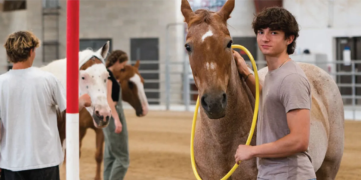 Teens working with horses during an equine-assisted psychotherapy session in the indoor arena