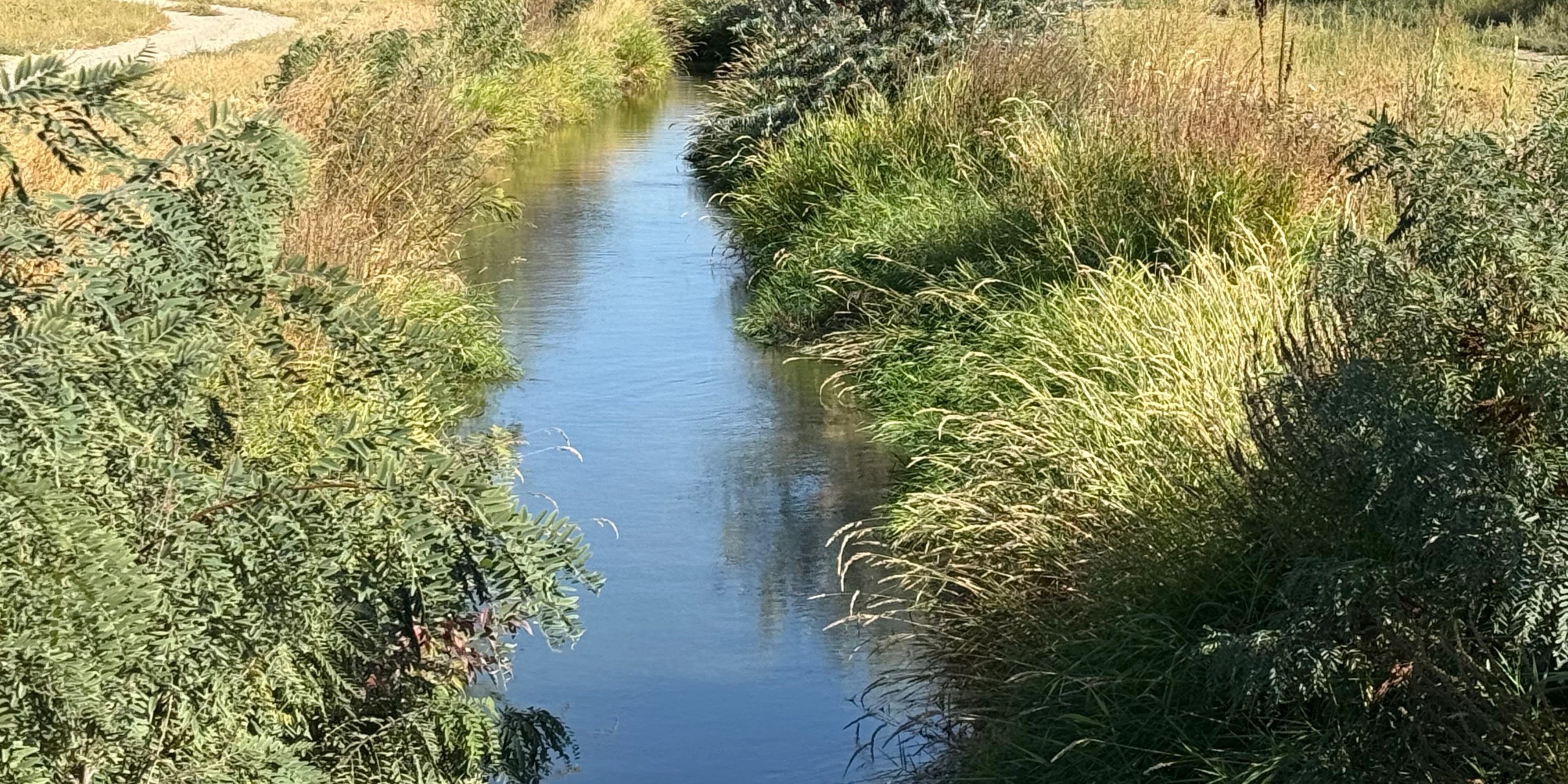 Irrigation canal bordered by green grasses on the Residential Center for Healing & Resilience campus