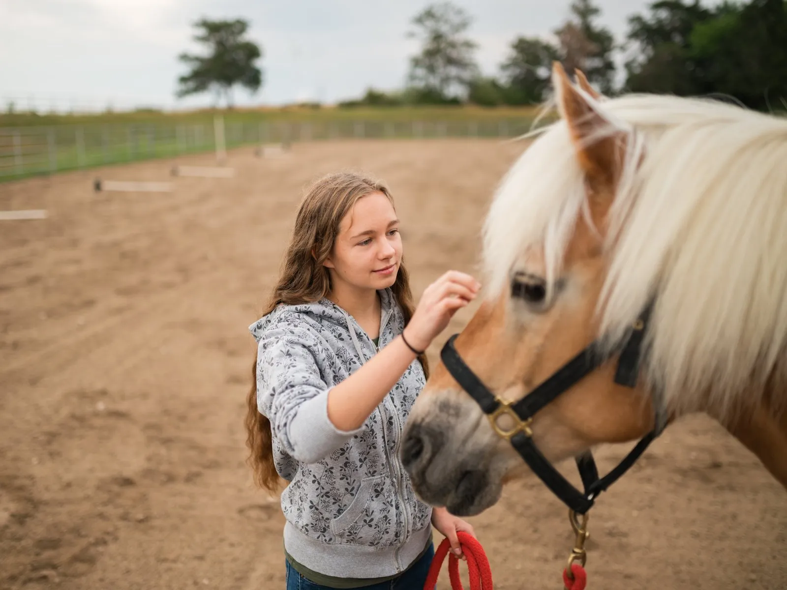 Young woman gently touching a horse's face in an outdoor riding arena.