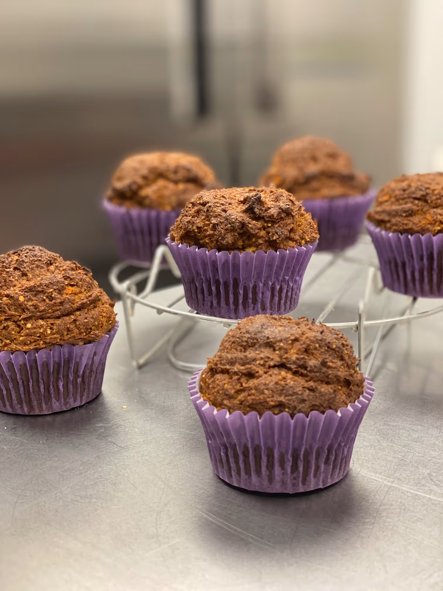 Close-up of five chocolate muffins in purple paper liners on a metal surface and cooling rack.