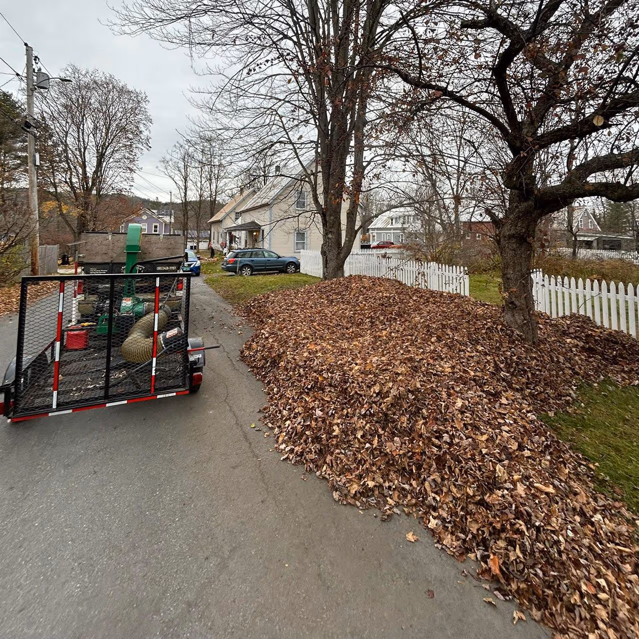 fall leaf cleanup Randolph Vermont yard cleanup service