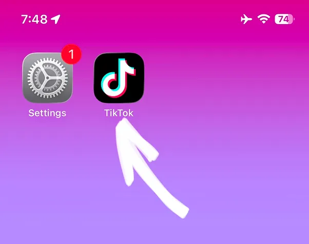 Settings app and TikTok app icons on home screen with cursor pointing to Settings
