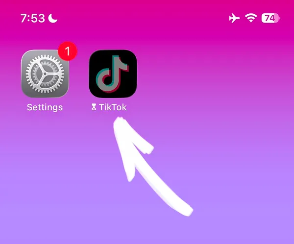 Home screen showing Settings app and TikTok app icon with restricted indicator