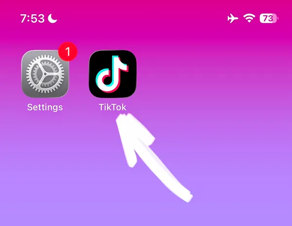 Home screen showing Settings app and accessible TikTok app icon