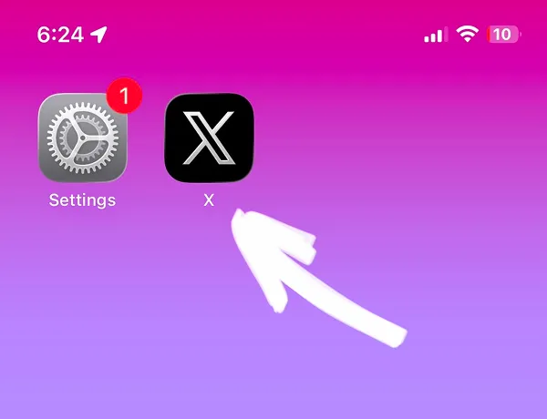 Home screen displaying Settings and X app icons