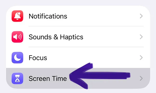 Settings menu section displaying Notifications, Sounds & Haptics, Focus, and Screen Time options