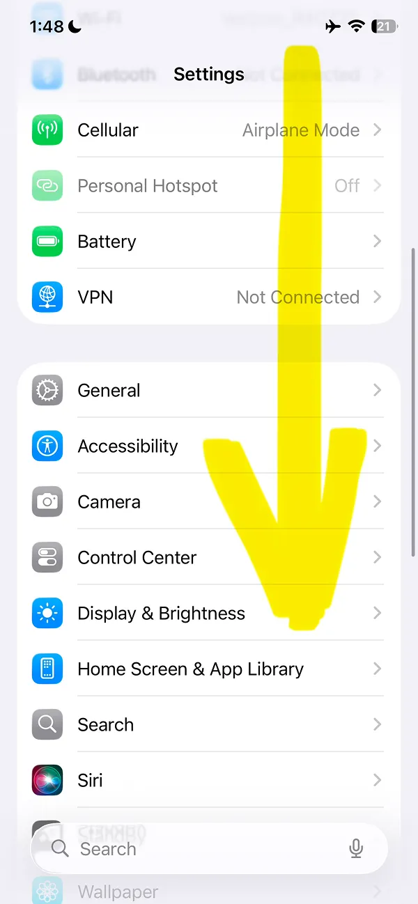 Settings menu with Cellular, Battery, VPN, and accessibility options