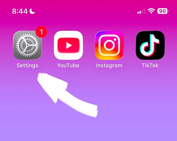 iPhone home screen showing Settings, YouTube, Instagram, and TikTok apps