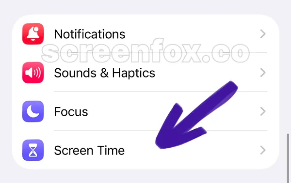 Settings page showing Notifications, Sounds & Haptics, Focus, and Screen Time menu items