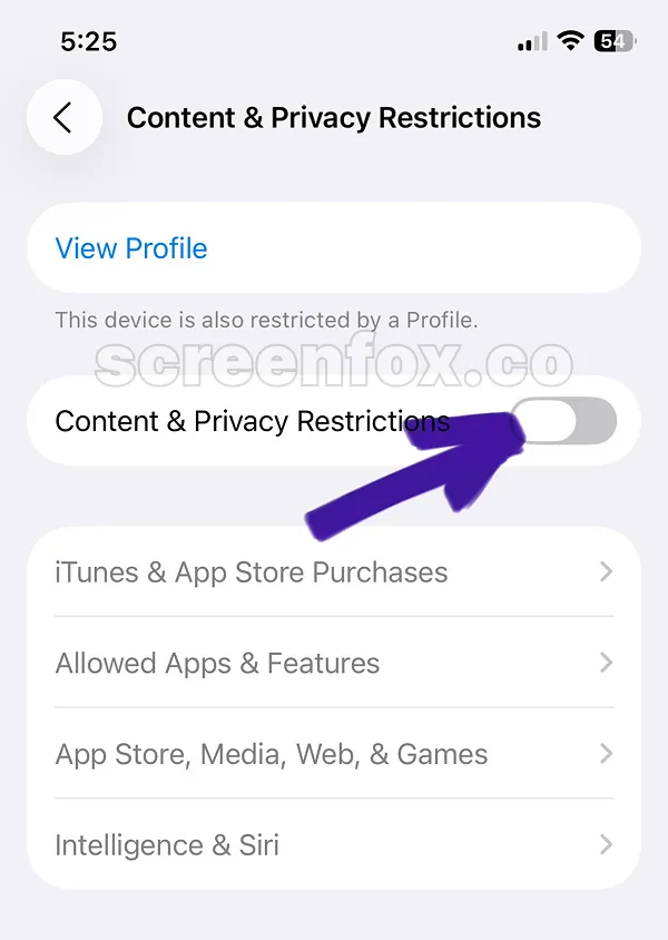 Content & Privacy Restrictions settings page with View Profile button and restriction toggle